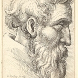 bardicus