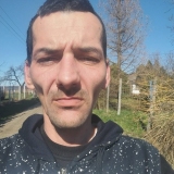 Csődör