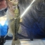Fishinguy