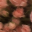 ._raven-j0nes_.