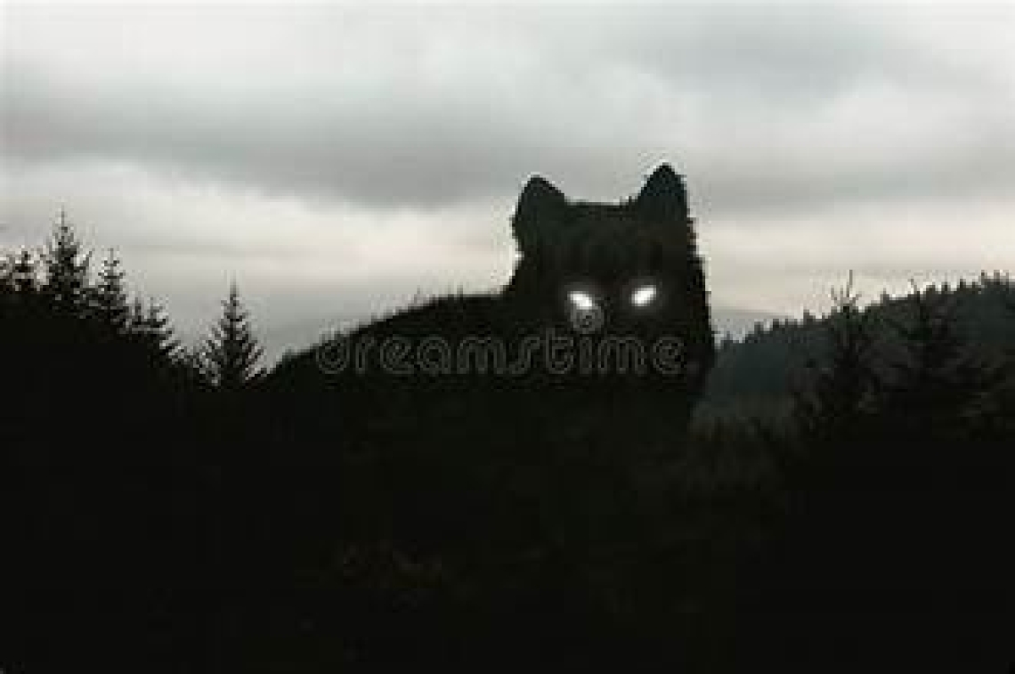 WOLFXSOULREAPER666